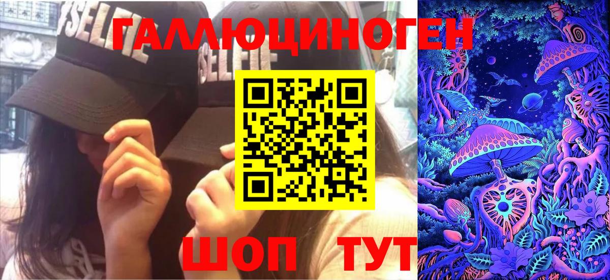 Галлюциногенные грибы Psilocybine cubensis  Вход с VPN  Клинцы 