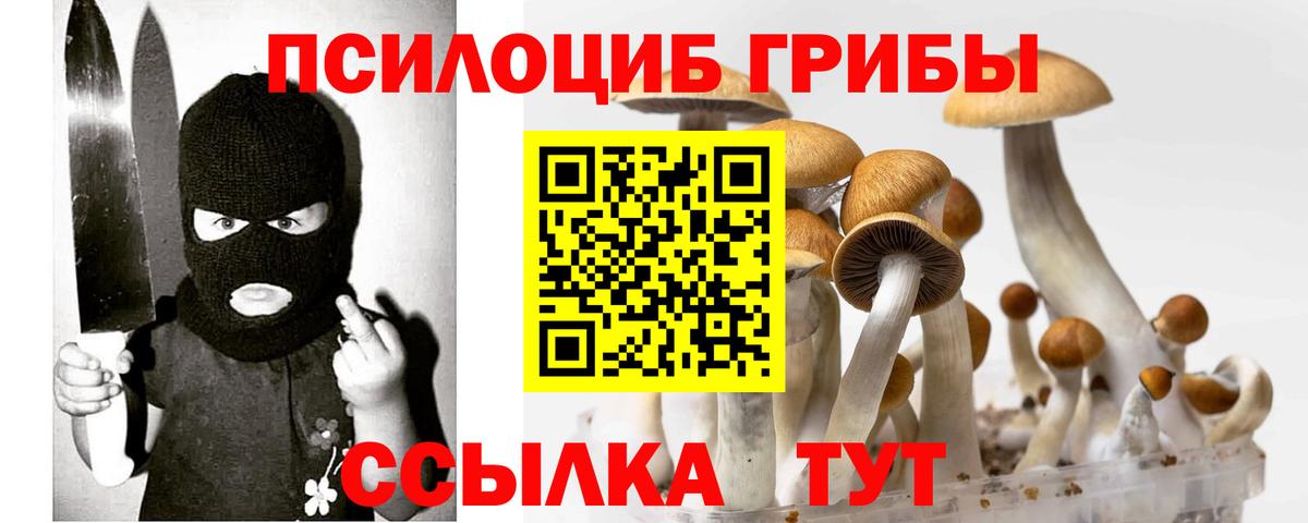 Галлюциногенные грибы Psilocybine cubensis Клинцы